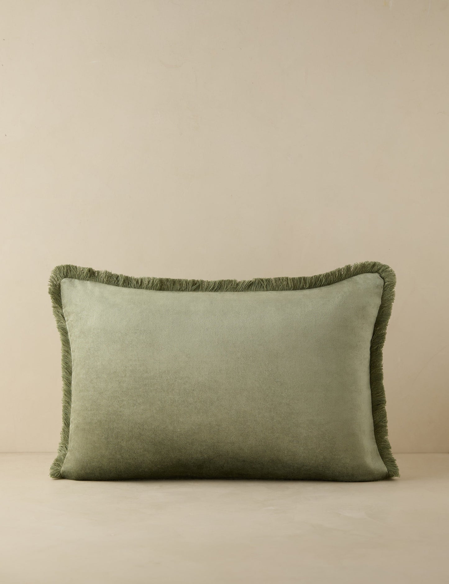 Coussin en velours Brandis