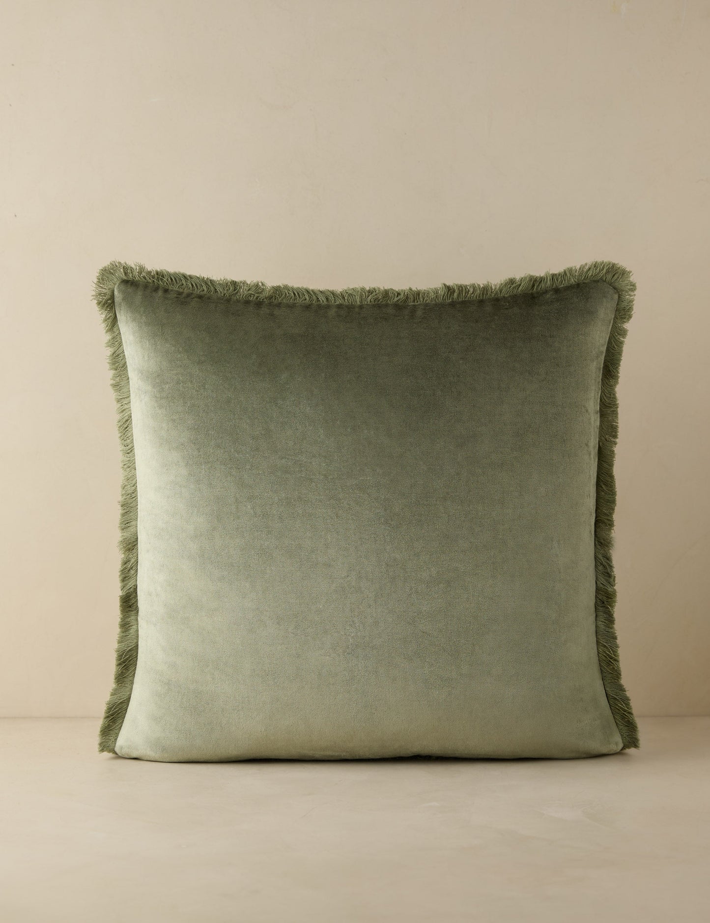 Coussin en velours Brandis