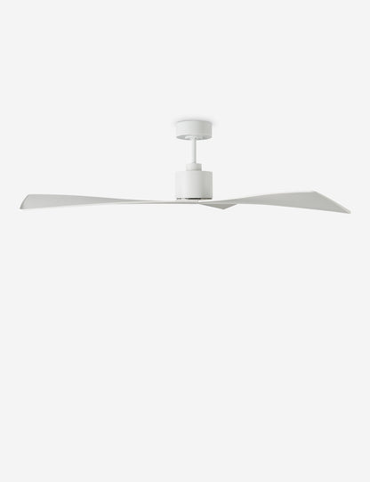 Ventilateur de plafond Renzo
