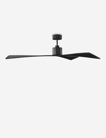Ventilateur de plafond Renzo