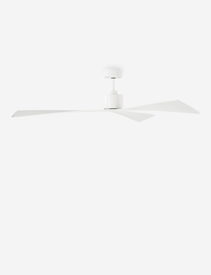 Ventilateur de plafond Renzo