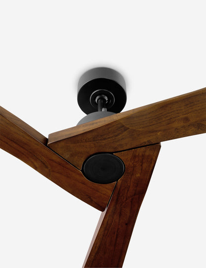 Ventilateur de plafond Vesa