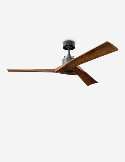 Ventilateur de plafond Vesa