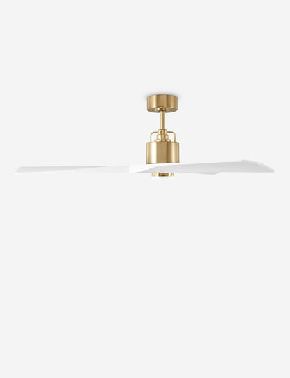 Ventilateur de plafond Vesa