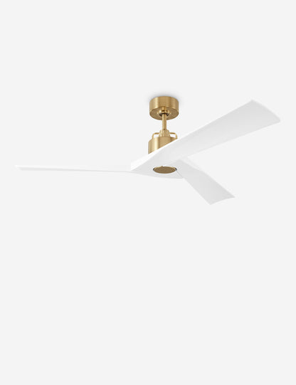 Ventilateur de plafond Vesa
