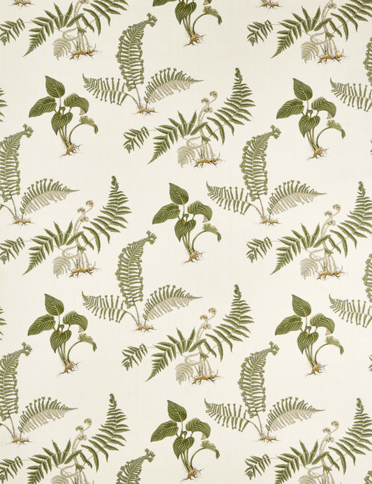 Tissu Hosta &amp; Fern par Sanderson