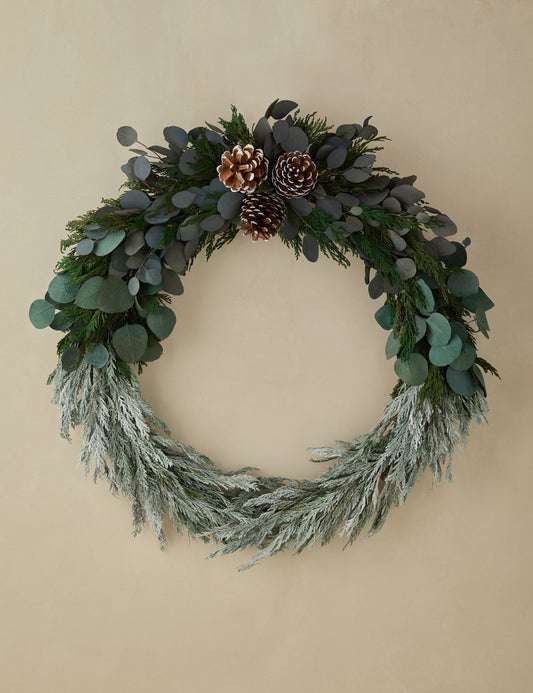 Couronne de cèdre d'hiver préservée